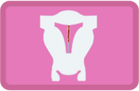 menstruationstasse gynefix kupferspirale